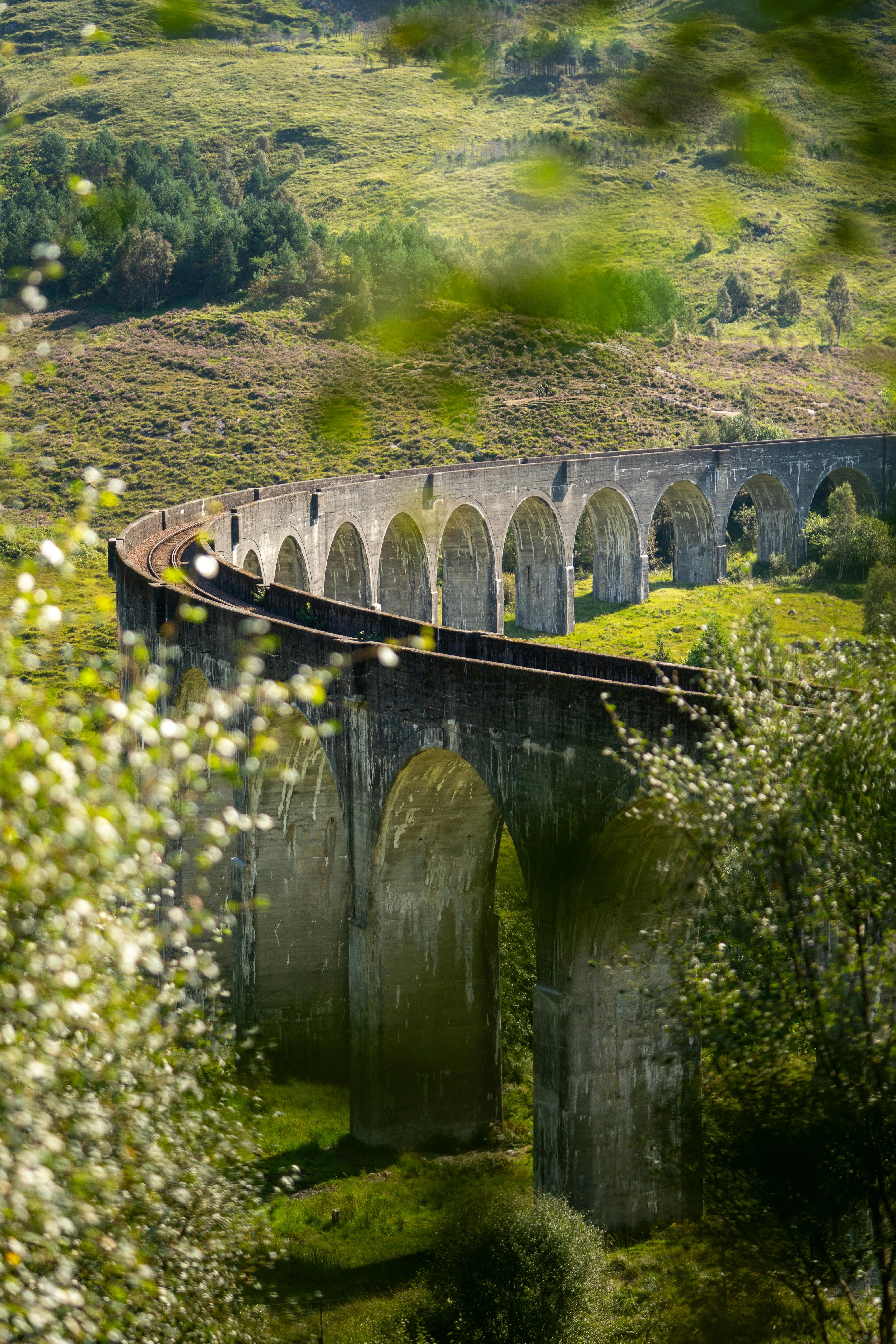 Jacobite Steam Train Hogwarts Express Glenfinnan Scotland 雅各比特蒸汽火車霍格華茲特快列車格倫芬南蘇格蘭
